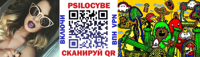 Псилоцибиновые грибы Psilocybe  мориарти какой сайт  Тында 