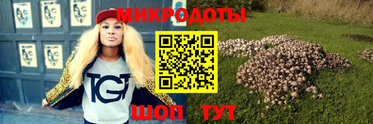 что такое   Галлюциногенные грибы ЛСД  Тында  Псилоцибиновые грибы GOLDEN TEACHER 