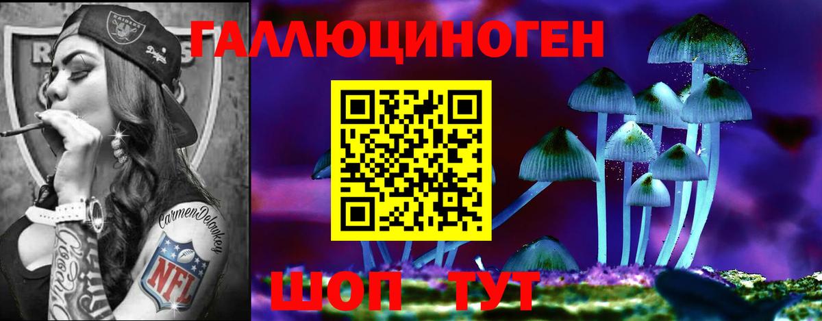 Галлюциногенные грибы Magic Shrooms  Галлюциногенные грибы GOLDEN TEACHER  Вход с VPN  Тында 